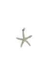 Starfish Charm