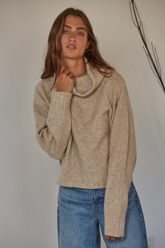 Gwyneth Turtleneck Knit Sweater