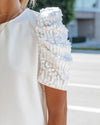 From A Dream Sequin Puff Sleeve Top