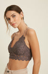 Cassie Padded Lace Bralette - Midnight